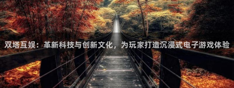 杜邦娱乐娱乐：双塔互娱：革新科技与创新文化，为玩家打造沉浸式
