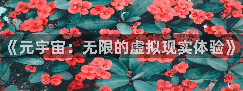 杜邦娱乐：《元宇宙：无限的虚拟现实体验》