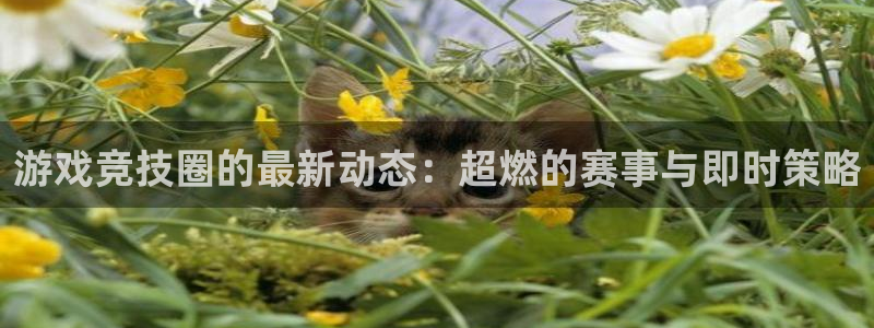 杜邦娱乐登录：游戏竞技圈的最新动态：超燃的赛事与即时策略