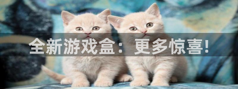 杜邦娱乐平台登录入口:全新游戏盒:更多惊喜!