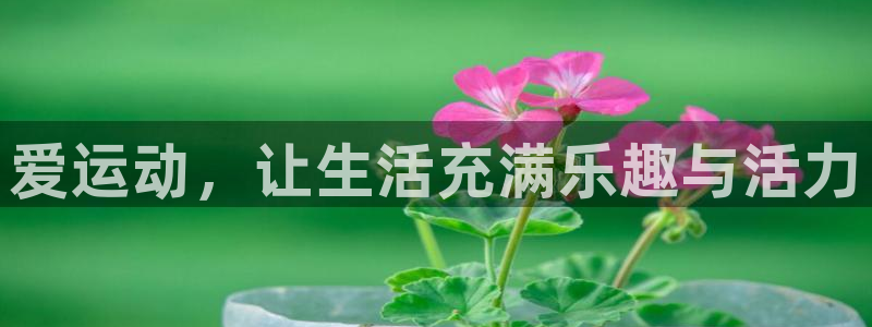 杜邦娱乐平台：爱运动，让生活充满乐趣与活力